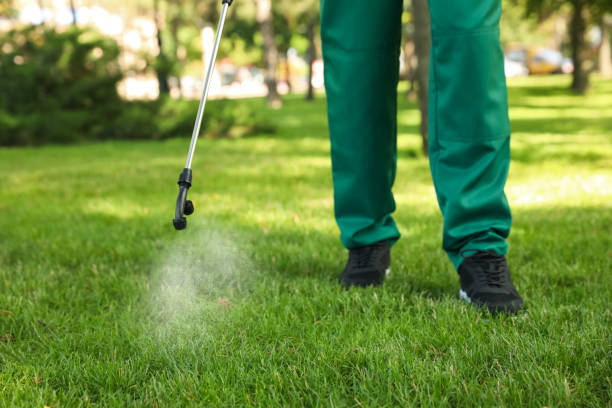 Wasp Removal Services in Mount Plymouth, FL