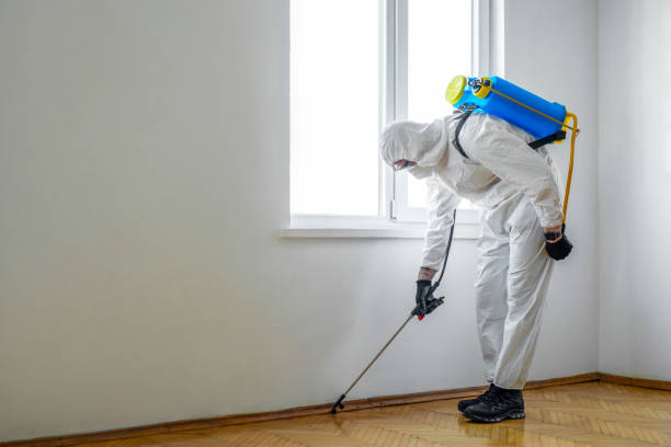 Best Exterminator Services  in Mount Plymouth, FL