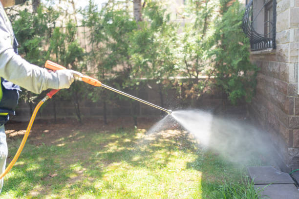 Best Affordable Pest Control Services  in Mount Plymouth, FL