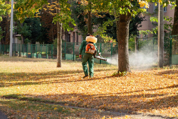 Best Pest Prevention Services  in Mount Plymouth, FL