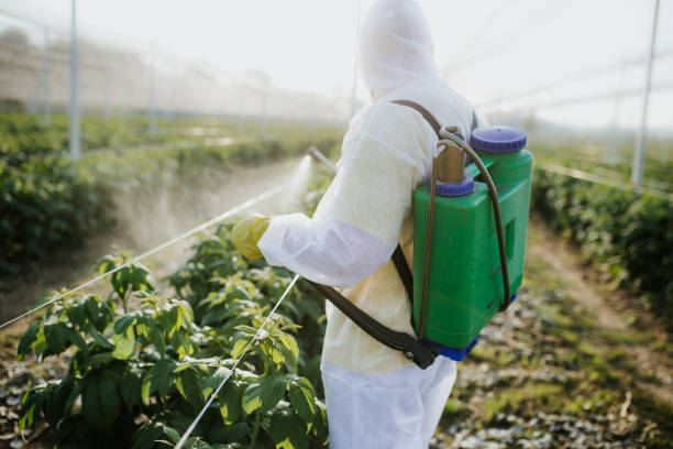 Best Pest Prevention Services  in Mount Plymouth, FL